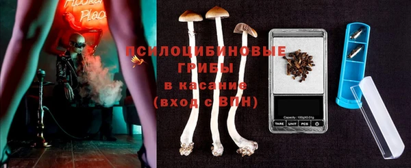 МДПВ Алзамай
