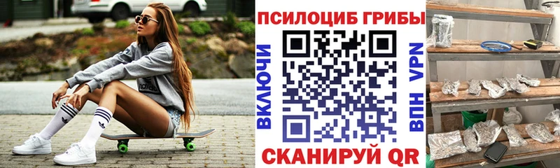 Псилоцибиновые грибы Psilocybe  где найти   Ливны 